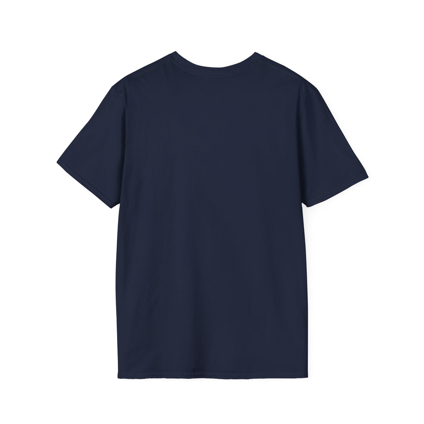 Keep Calm and Paladin On T-Shirt, Unisex Gaming Tee, Geeky Shirt, D&D Apparel, Casual Gift for Gamers, Unique Fantasy Merch
