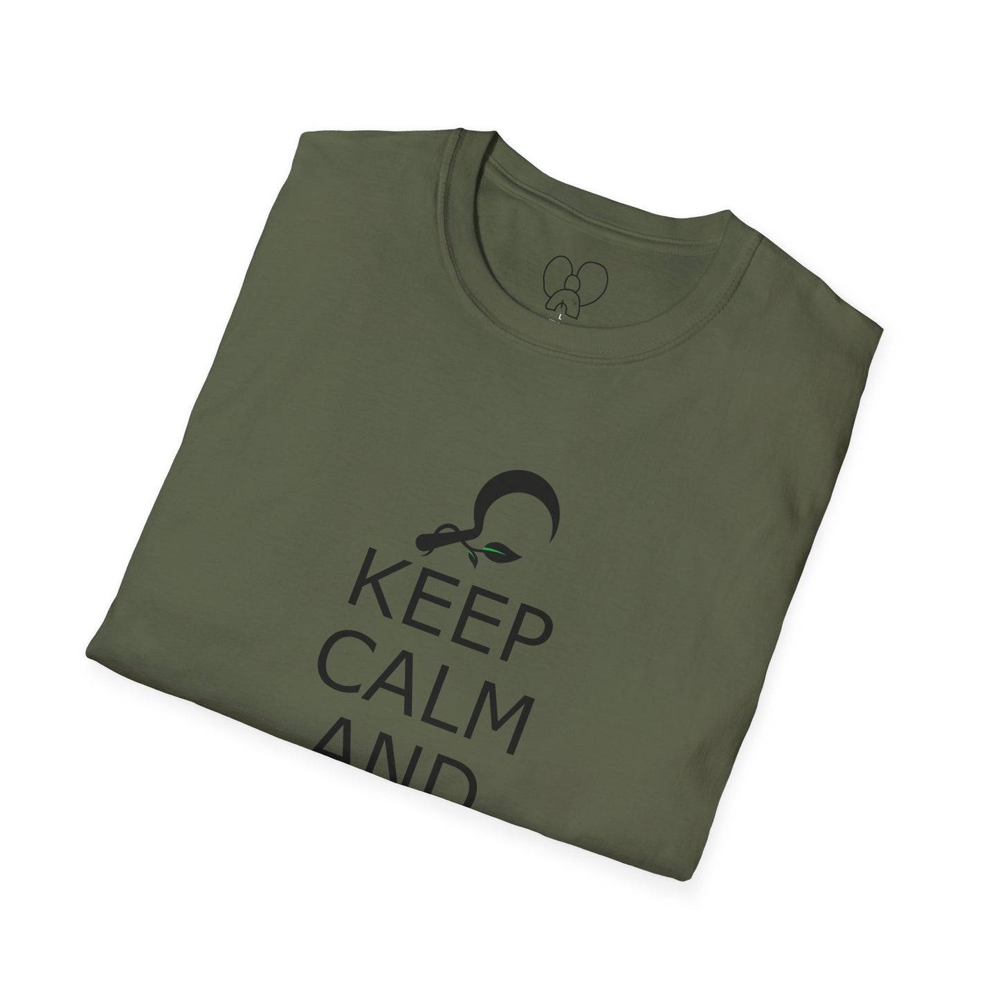 Druid T-Shirt, Keep Calm and Druid On Shirt, Unisex Softstyle Tee, Witchy Apparel, Pagan Clothing, Fantasy Gift