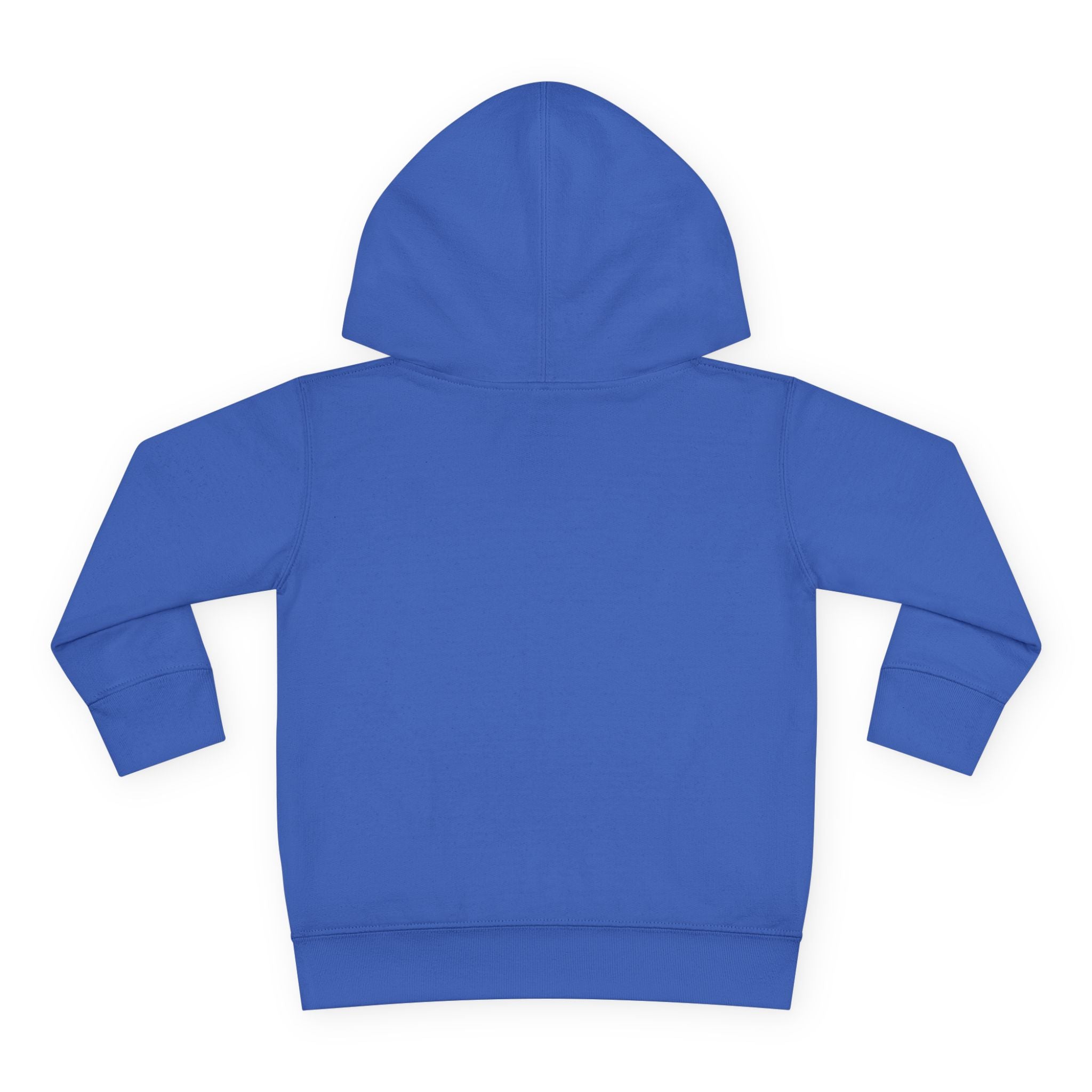 Fleece Hoodie - Talleyrand Band