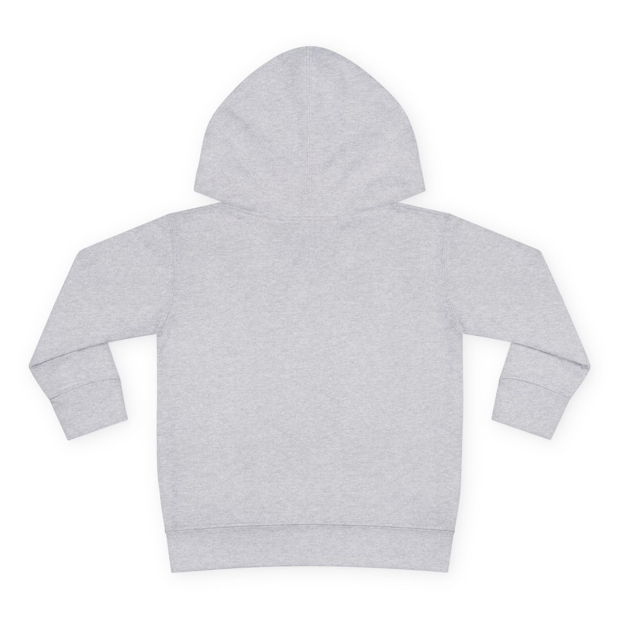 Talleyrand Band Front Pull - Over Fleece Hoody