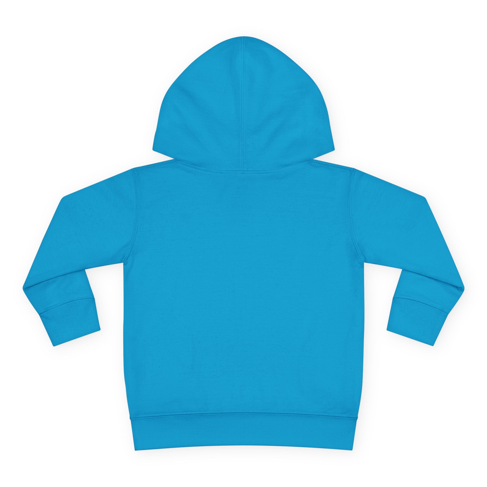 Fleece Hoodie - Talleyrand Band