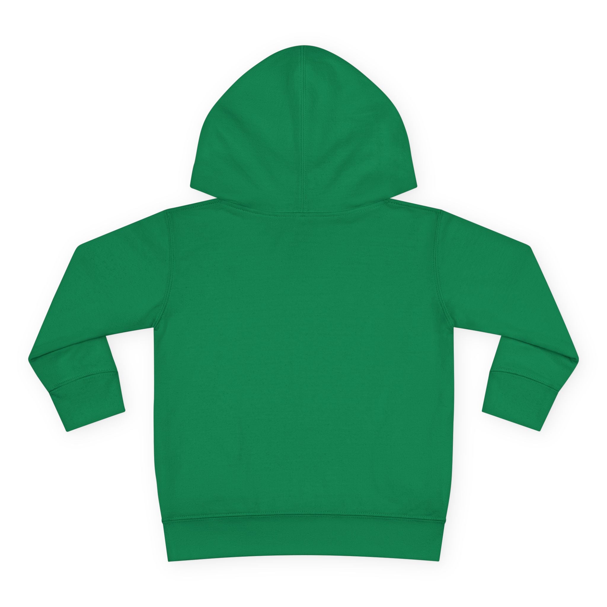 Talleyrand Band Front Pull - Over Fleece Hoody