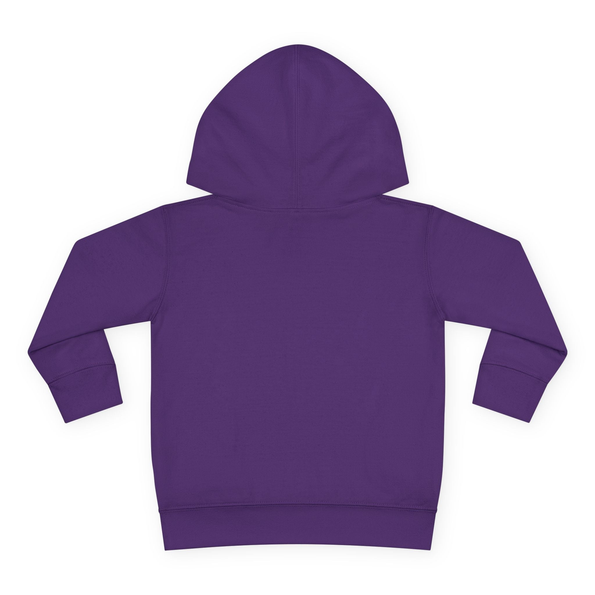 Fleece Hoodie - Talleyrand Band