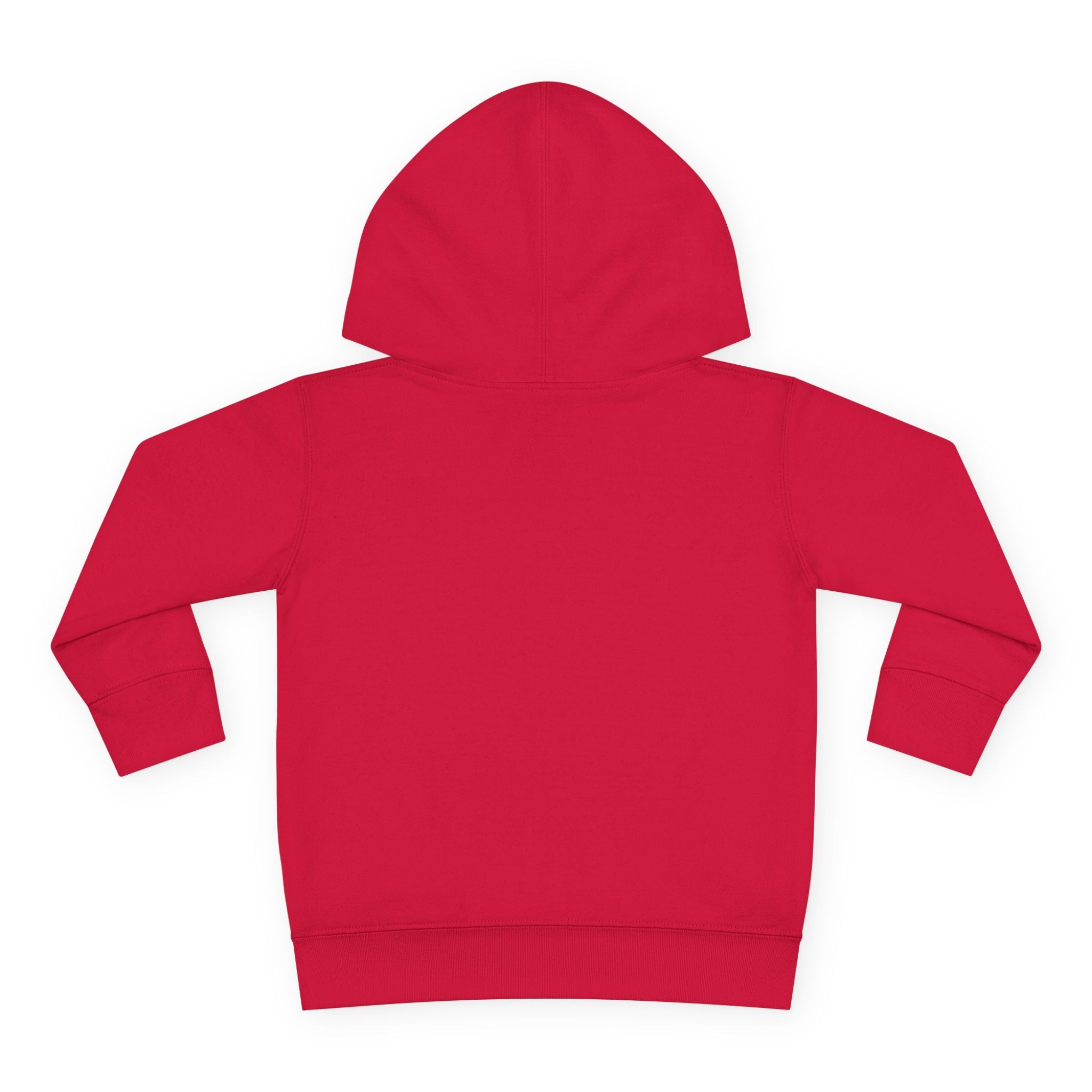 Fleece Hoodie - Talleyrand Band