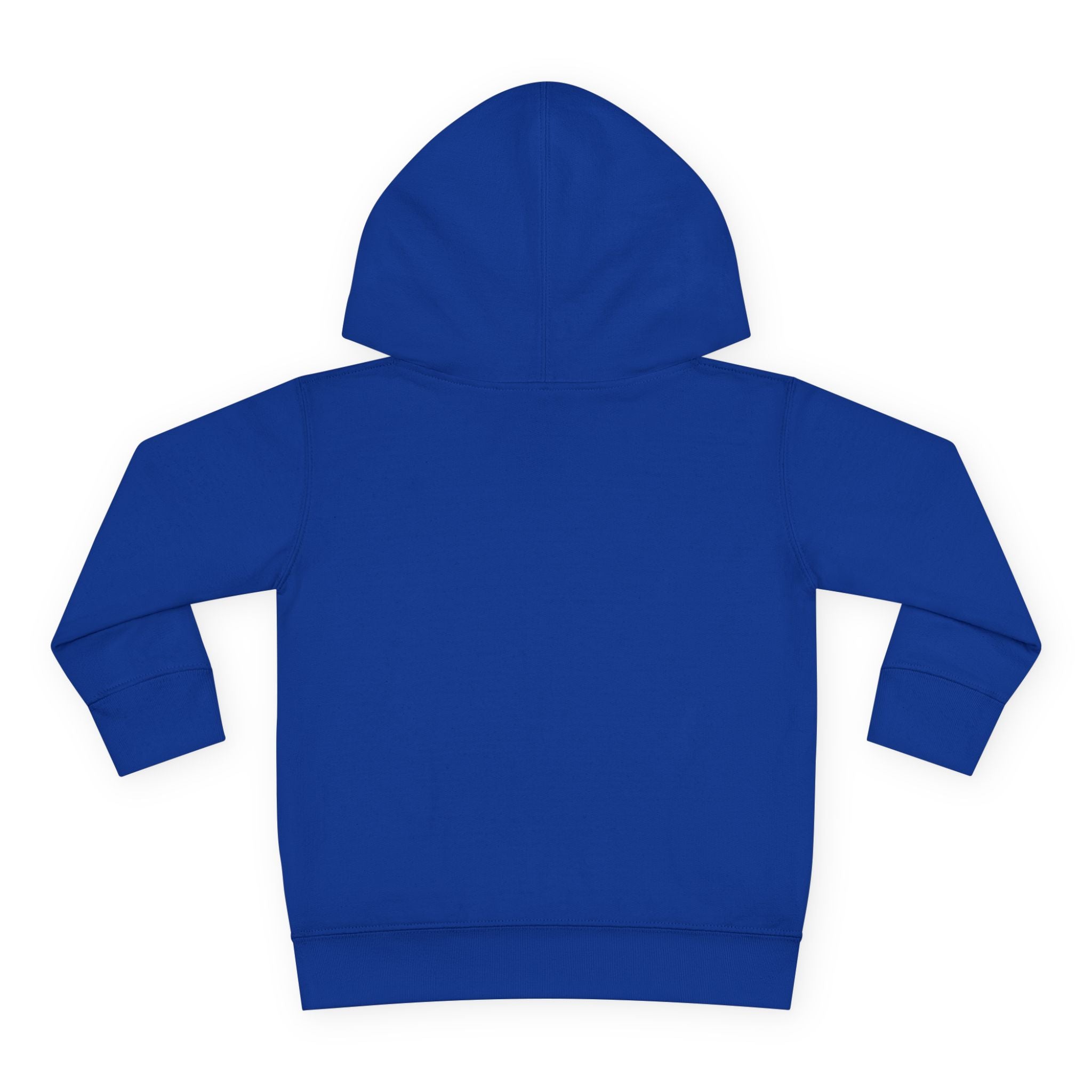 Fleece Hoodie - Talleyrand Band