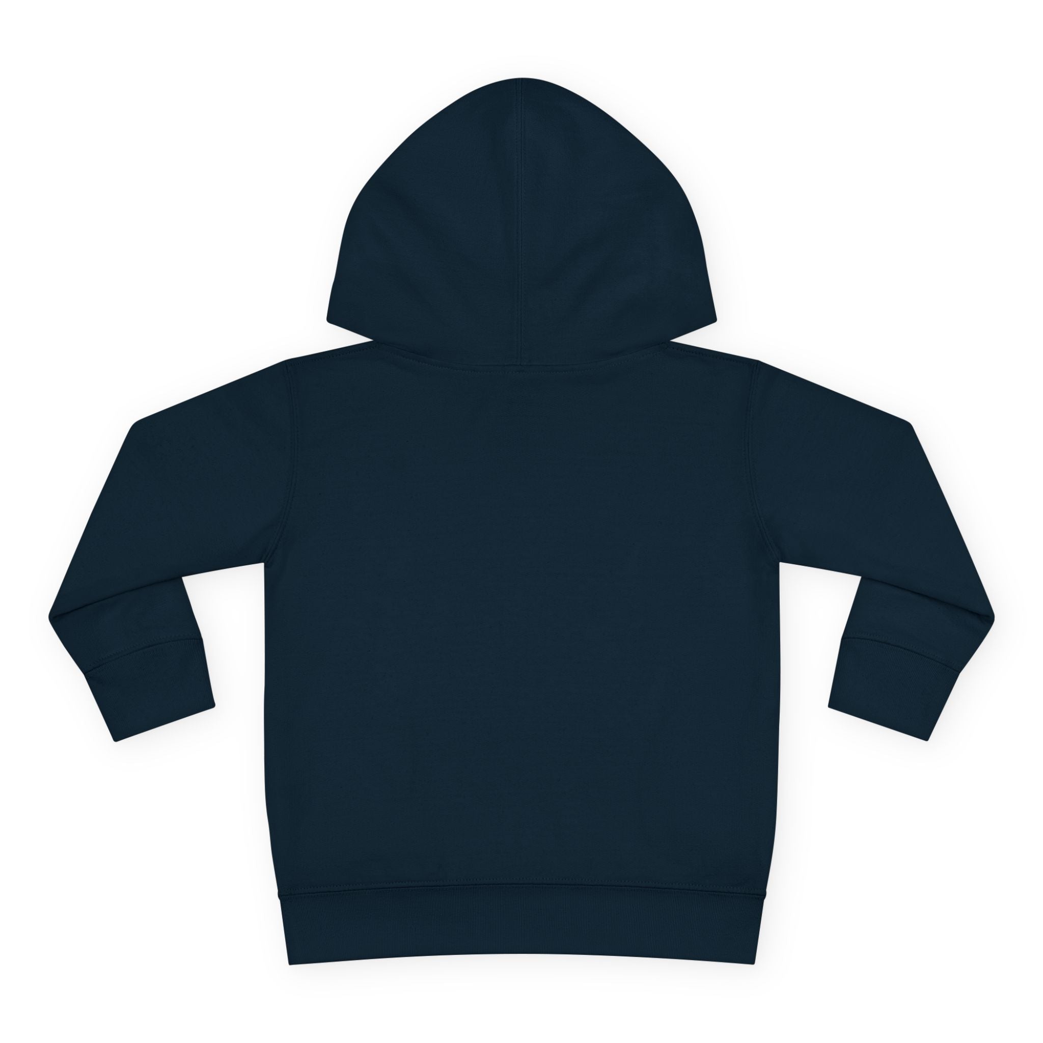 Talleyrand Band Front Pull - Over Fleece Hoody