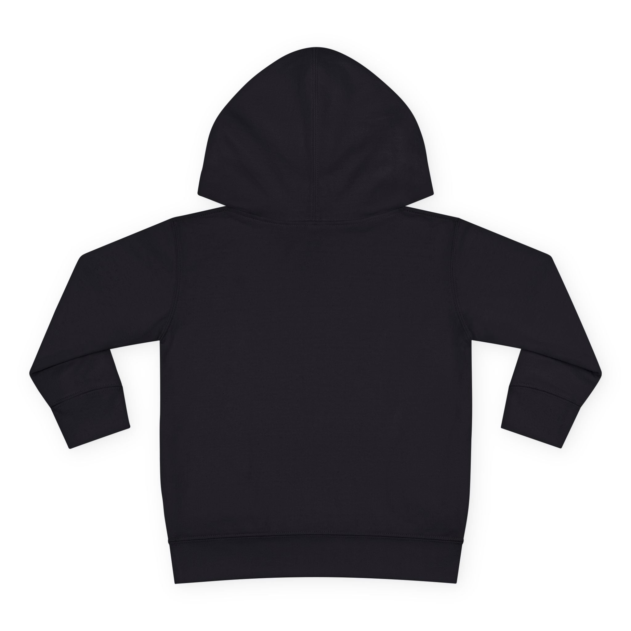 Fleece Hoodie - Talleyrand Band