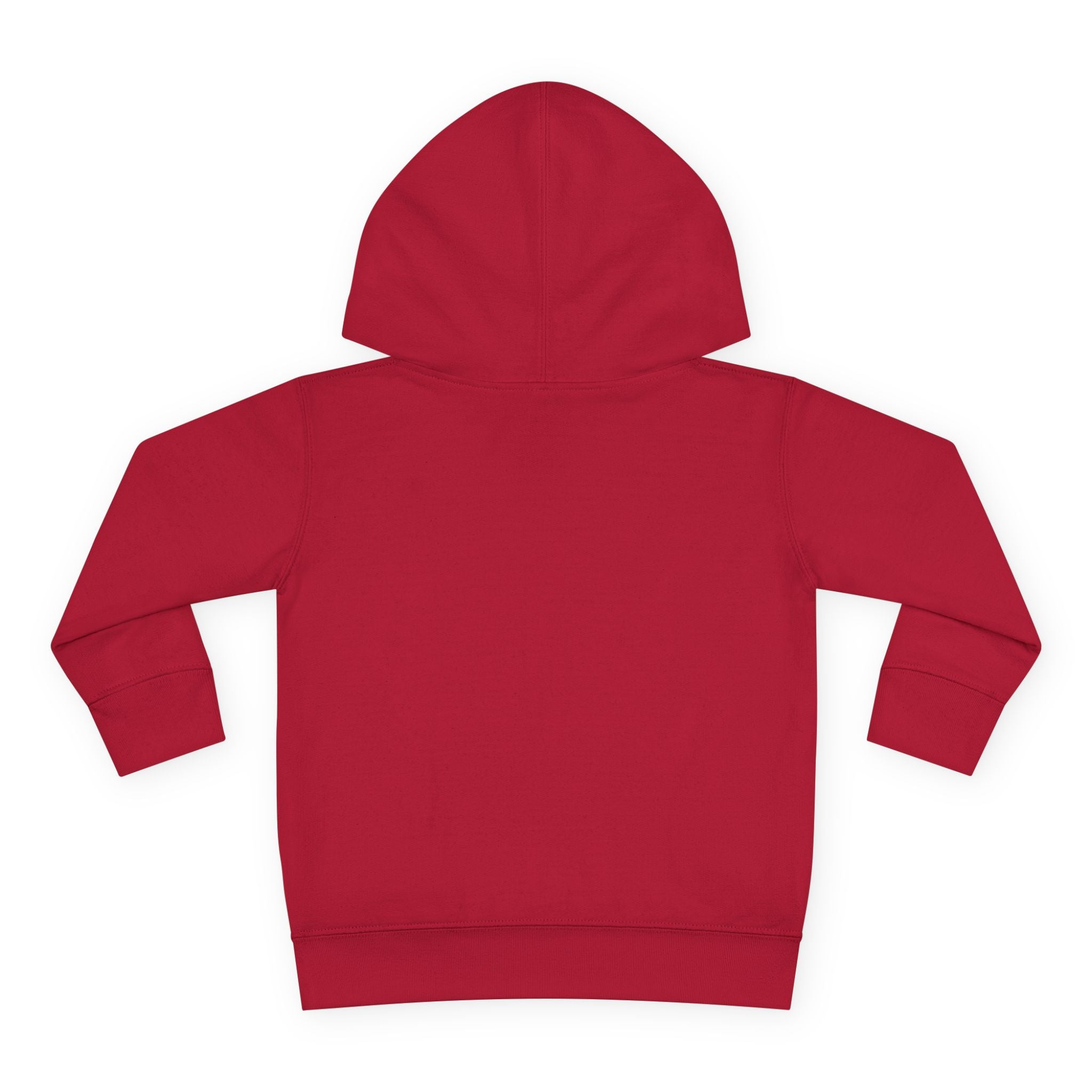Fleece Hoodie - Talleyrand Band